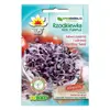 Ředkvička Red Purple ke klíčení, 10 g