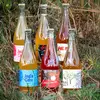 Set 6 druhů JoyDa Ciderů
