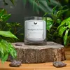Sójová svíčka s dřevěným knotem - Eucalyptus & Máta