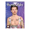 Harry Styles (29,7 x 42 cm) A3