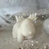 Sójová svíčka – roztomilý sobík