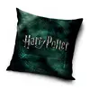 Polštářek Harry Potter Magic