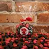 Čertovský MIX marshmallow obalovaných v čokoládě - Uhlík, Malina | Hmotnost: 100 g