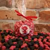 Čertovské marshmallow obalované v čokoládě - Malina | Hmotnost: 100 g