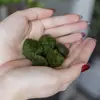 Řasokoule 3-5 cm - 10 ks | Zelená