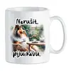 Nerušit, piju kávu! - Dlouhosrstá kolie (tricolor)