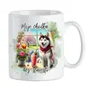 Moje chvilka bez starostí - Husky