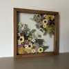 Poblouznění z veselého paloučku 33 × 33 cm