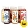 Startovací balíček Falko kombucha (6x 0,5 l)