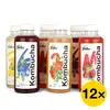 Maxi balíček Falko kombucha (12x 0,5 l)