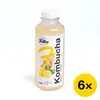 Balíček Falko kombucha - zázvor & citron (6x 0,5 l)
