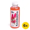 Balíček Falko kombucha - malina & citronová tráva (6x 0,5 l)