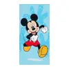 Mickey III