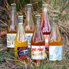 Set 6 druhů JoyDa Ciderů