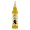 Prémiový sirup Mango, 700 ml