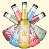 6x Oi® kombucha – degustační balíček