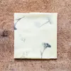 Bílé chrpy | Rozměr: Malý 20 × 20 cm