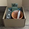 Pěstební balíček – Eucalyptus polyanthemos, Red box