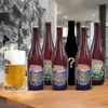 Mix 6 piv Klasik + sklenice Salzburg (s uchem)