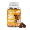 Eddies Focus vegan Gumídci s Lví hřívou na podporu paměti - 60 gumídků