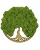 Machový obraz Simple Oak "Strom života" (20 cm) | Typ: Rám dub