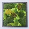 Hranatý obraz s rôznymi druhmi machov ručne vyrobený na Slovensku | Rozmer: 30 x 30 cm | Čierna
