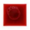 SCOBY startovací nálev - red