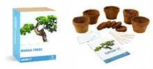Grow it bonsai