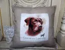 Hnědý Labrador
