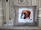 Boxer