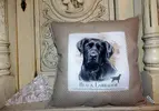 Černý labrador