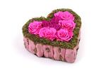 Cactus heart - růžová + 4 hlavičky růží zdarma