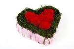 Cactus heart - červená + 4 hlavičky růží zdarma