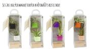Set 2ks malých magnetických květináčů s podstavcem a rostlinami