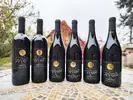 6 x 0,75 l Kartón vín z nitrianskeho vinárstva Bíro (červené suché vína)