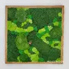 Hranatý obraz s rôznymi druhmi machov ručne vyrobený na Slovensku (hnedá) | Rozmer: 30 x 30 cm