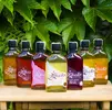 7 x 0,2 l Degustačné balenie medových likérov "Žihadlo"