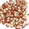 Fazole adzuki – semena na klíčky, 50 g
