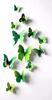 Sada 3D motýlků - zelená barva