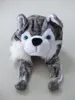 Husky