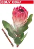 Dekorace samolepící PROTEA