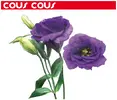 Dekorace samolepící LISIANTHUS