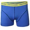 PIERRE CARDIN Boxerky 2-PACK PCU97 Azzuro | Velikost: M | Modrá