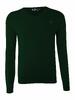 Pánský pullover Ralph Lauren | Velikost: S | Zelená