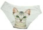 Dámské kalhotky s kočkou Intimidao | Velikost: M | Bílá