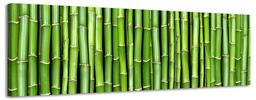 Bamboo Fantasy