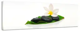 Spa Touch