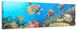 Underwater world