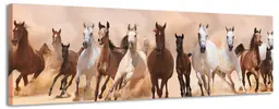 Wild Horses