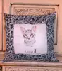 Ocicat